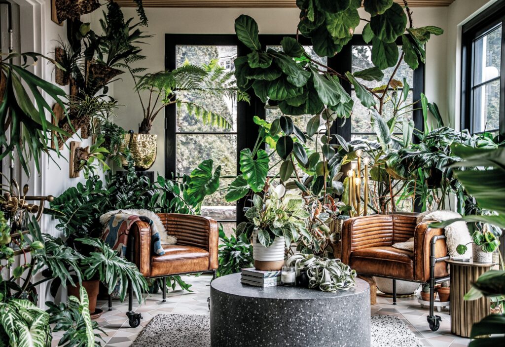 low maintenance indoor plants filling a bright living room with greenery